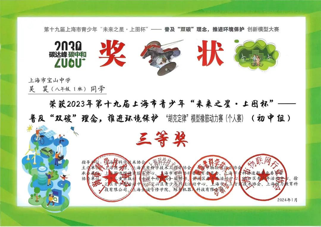 未来之星：青少年冠军的成长故事的简单介绍