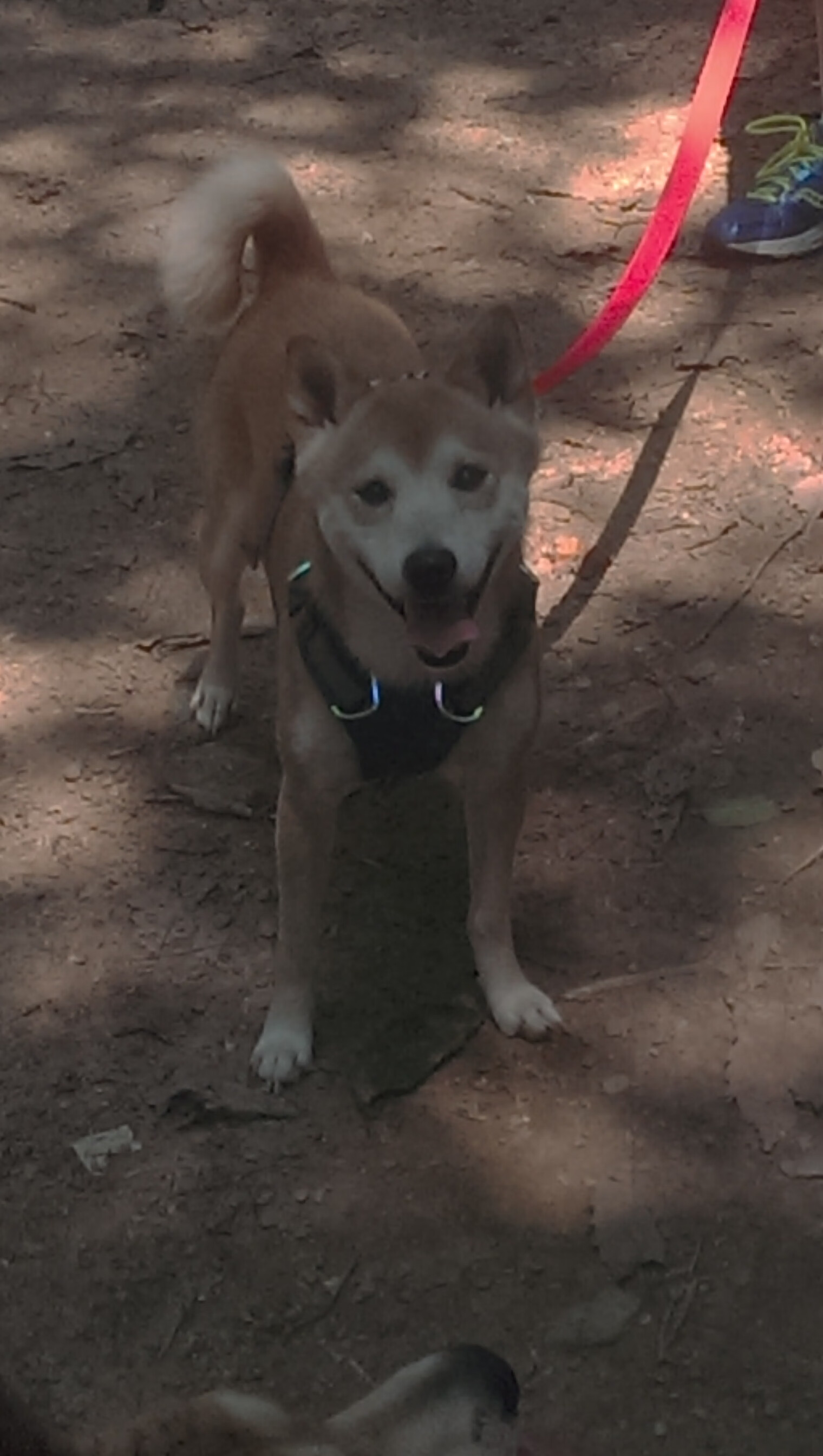 AYX体育官网-《2025英雄联盟全球总决赛，小组赛火爆开启》，2050年英雄联盟总决赛