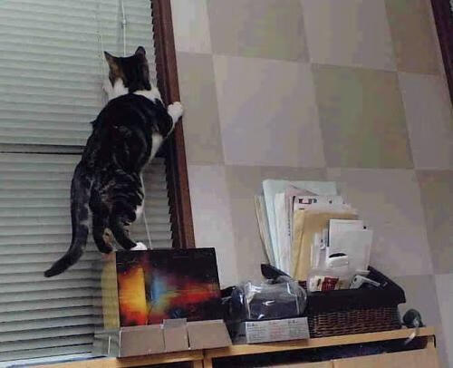 【心理战】顶尖运动员如何应对比赛压力？，运动员压力大怎么办