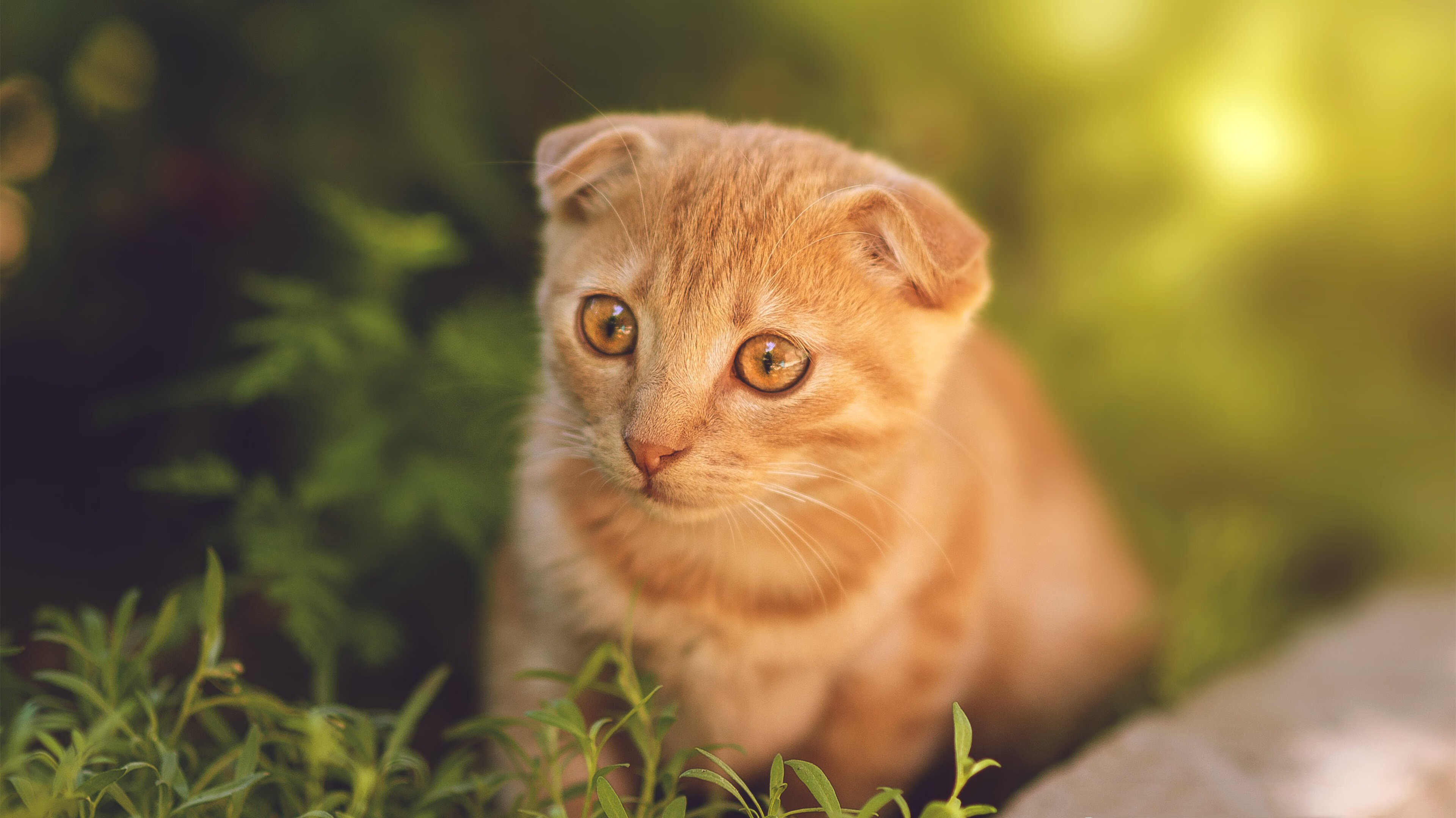 AYX官网-热火在激烈抢夺中依靠巴特勒的“神兵天降”逆转局势！