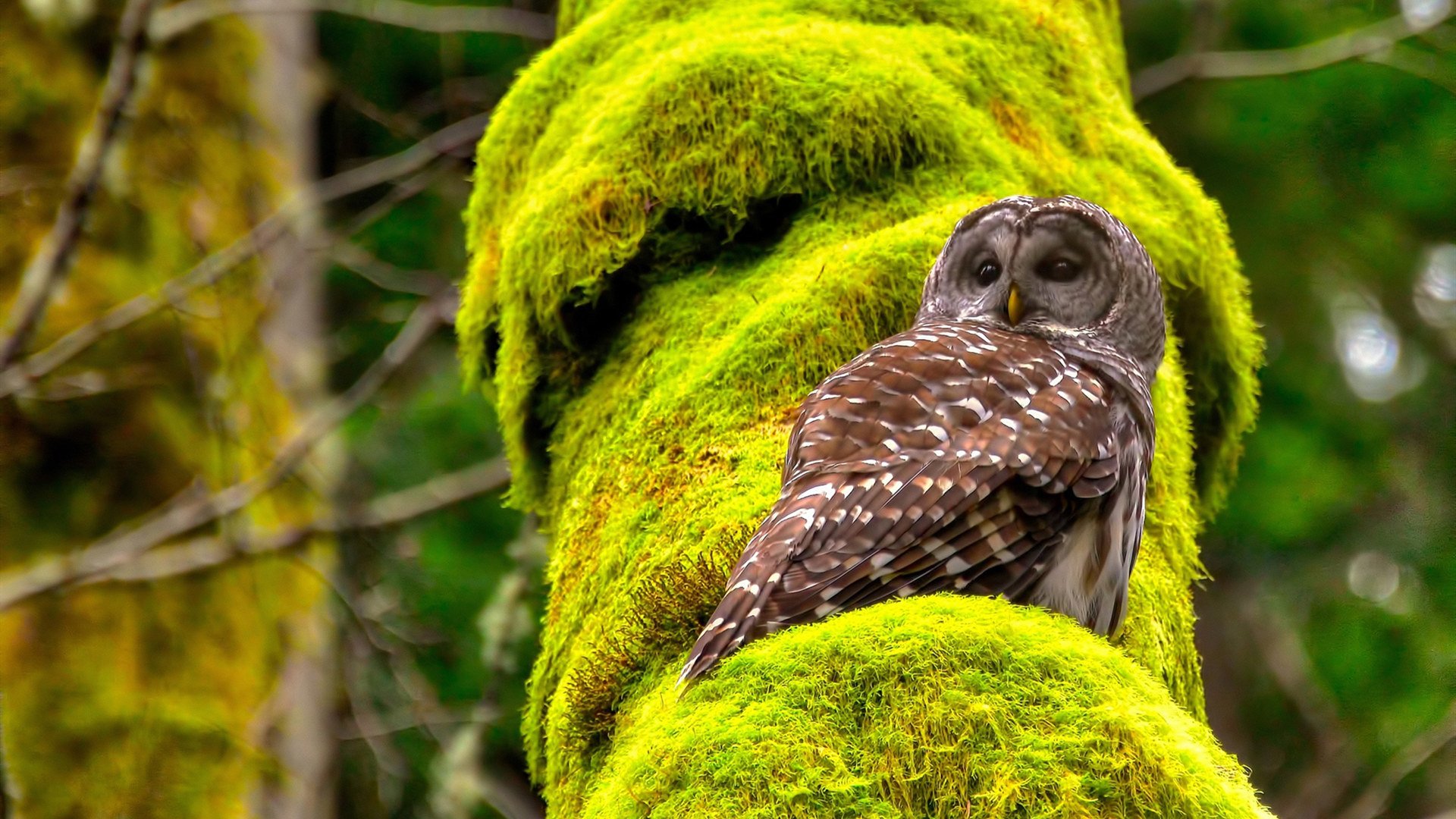 爱游戏-电竞比赛中的个人技术：操作、反应与意识，电竞操作指数叫什么