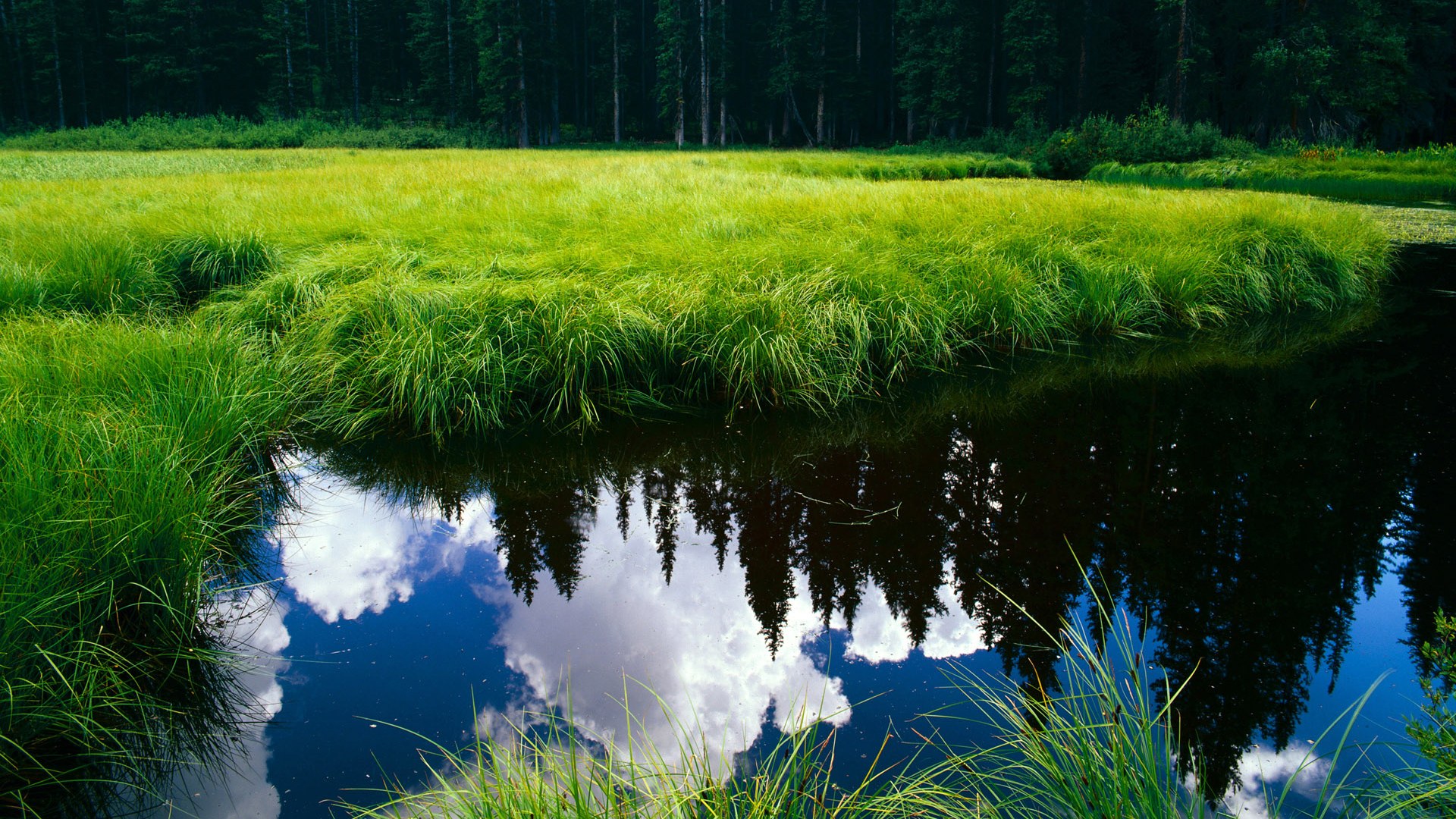 俄罗斯豪胜，锁定下赛季欧洲杯资格，俄罗斯获欧洲杯首胜