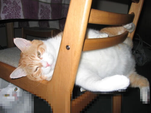 毕尔巴鄂竞技主场2-1战胜莱万特，取得重要胜利，毕尔巴鄂竞技官网