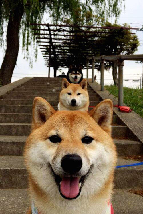 电竞战队财务管理体系构建及盈利模式多样化探索,电竞战队管理制度