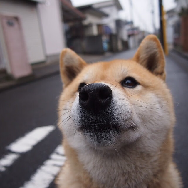 爱游戏-精彩比赛吸引大批观众关注，赛事声势浩大，比赛现场精彩纷呈