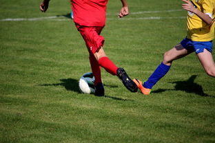 爱游戏体育APP下载-世界皮划艇世界杯中国男队勇摘银牌，世界皮划艇冠军男子