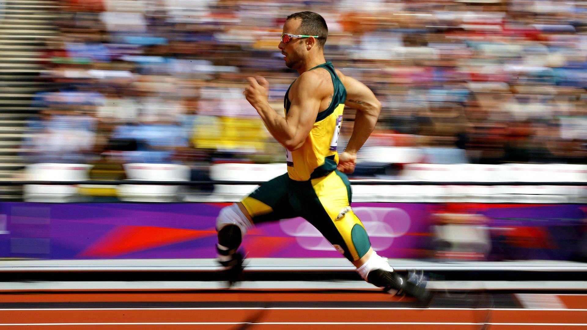 训练计划动态调整,训练计划的制定与实施步骤