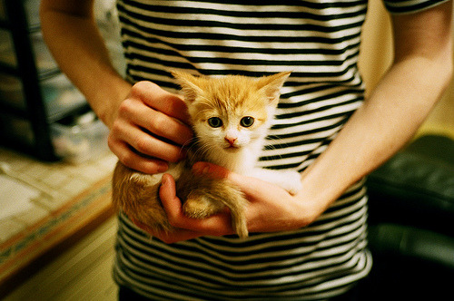 爱游戏下载-CBA联盟提升教练执教能力打造精英团队，cba联赛教练