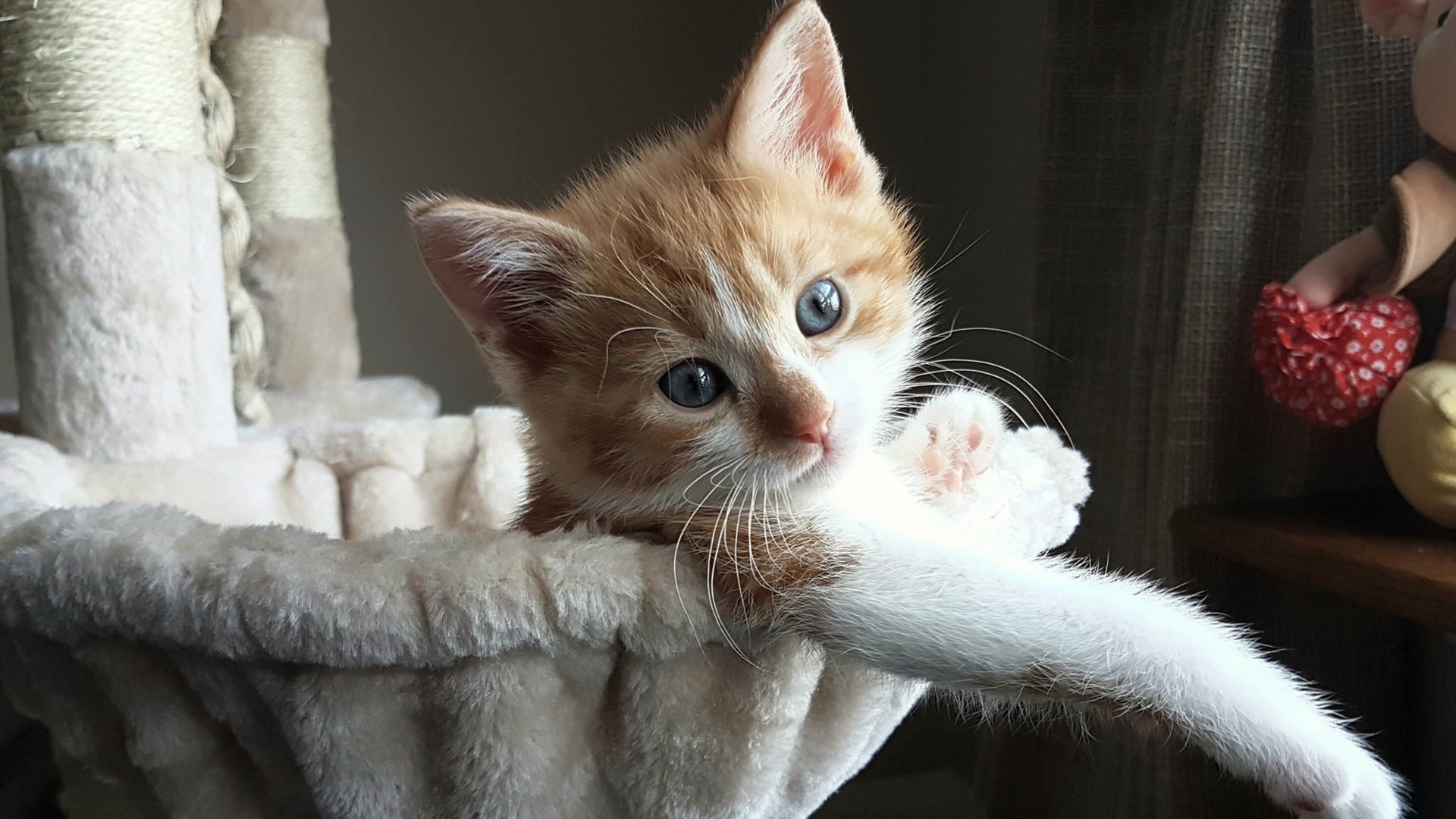 “高新体育中心:沙滩排球赛事燃起热潮,选手拼劲力”