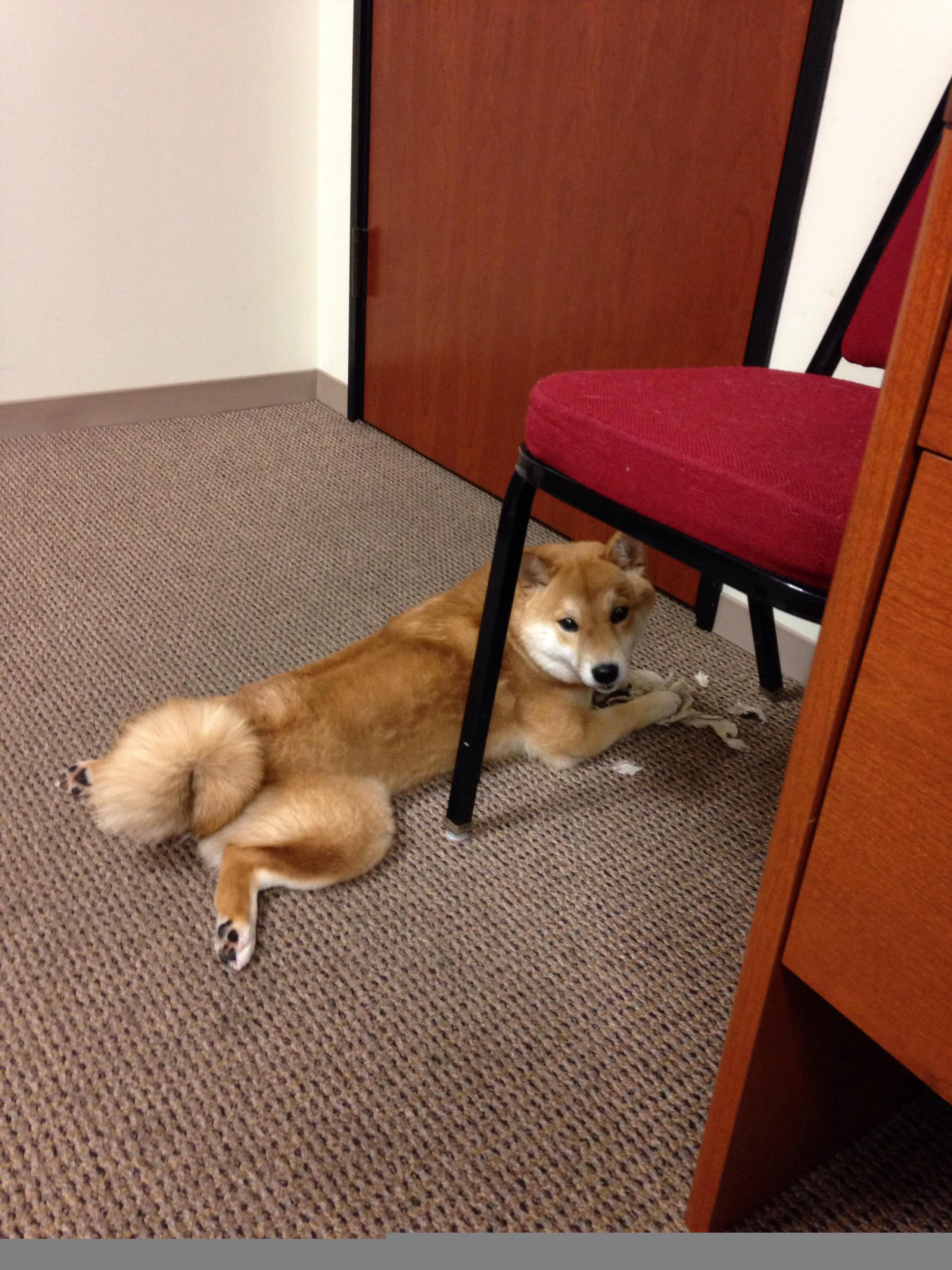 AIYOUXI.COM-本土球员如何打破角色球员的标签，本土球员如何打破角色球员的标签视频