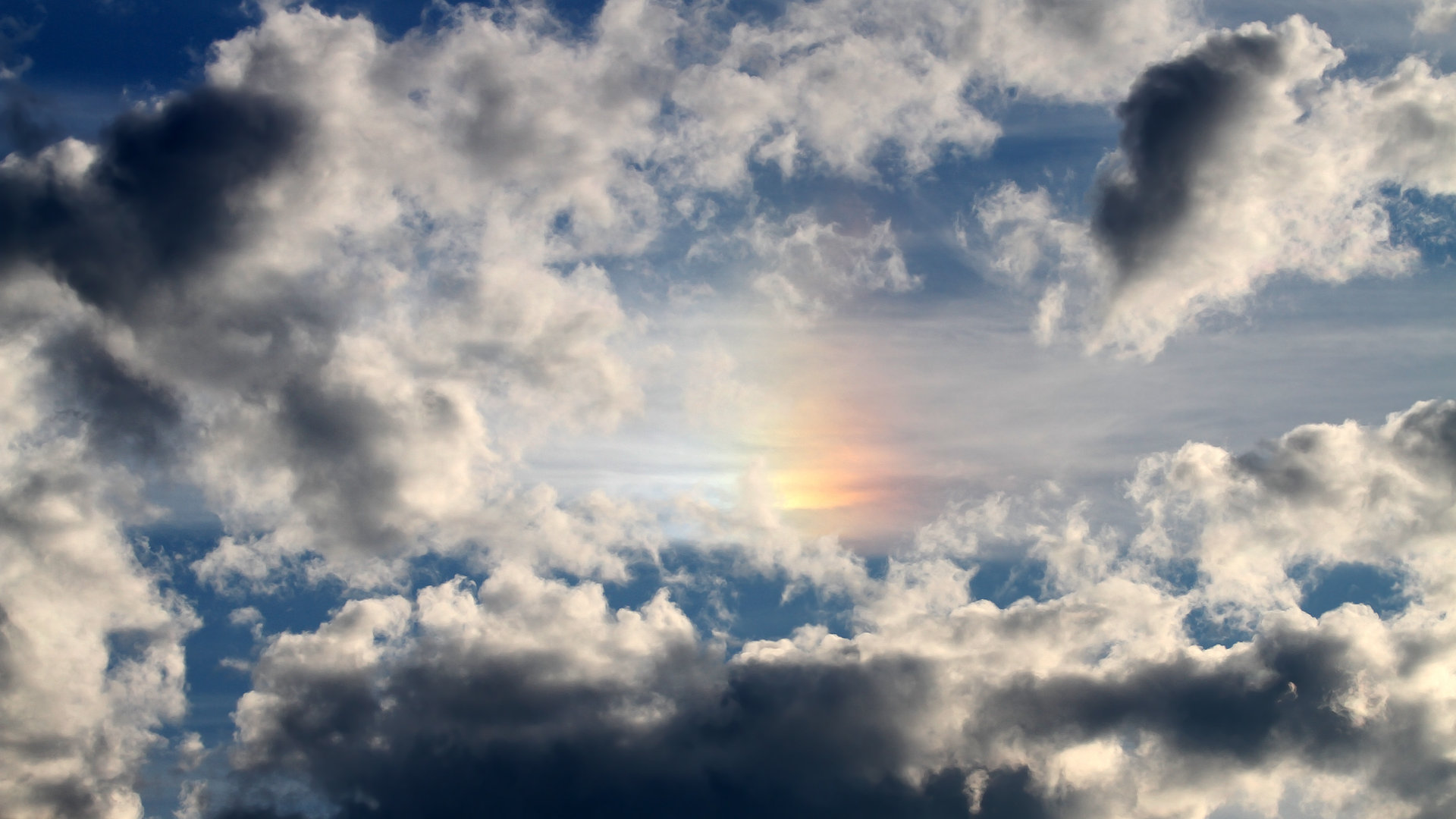 浙江雄狮高效进攻策略获得联赛认可，浙江雄狮服务队