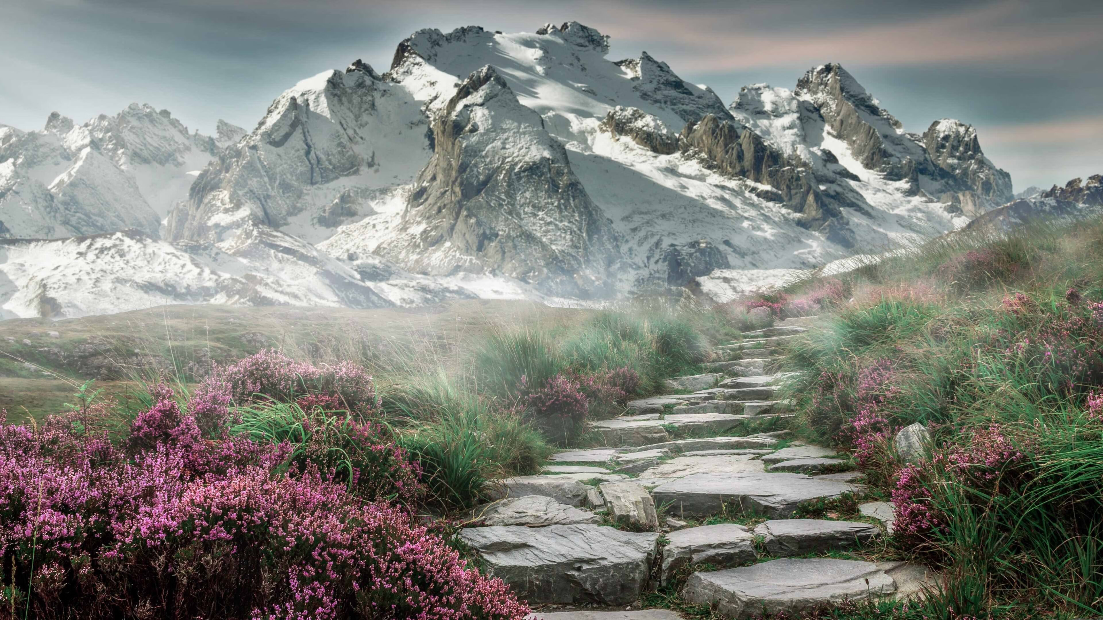 爱游戏app-职业球员训练科学化手段是否普及，职业球员体能训练