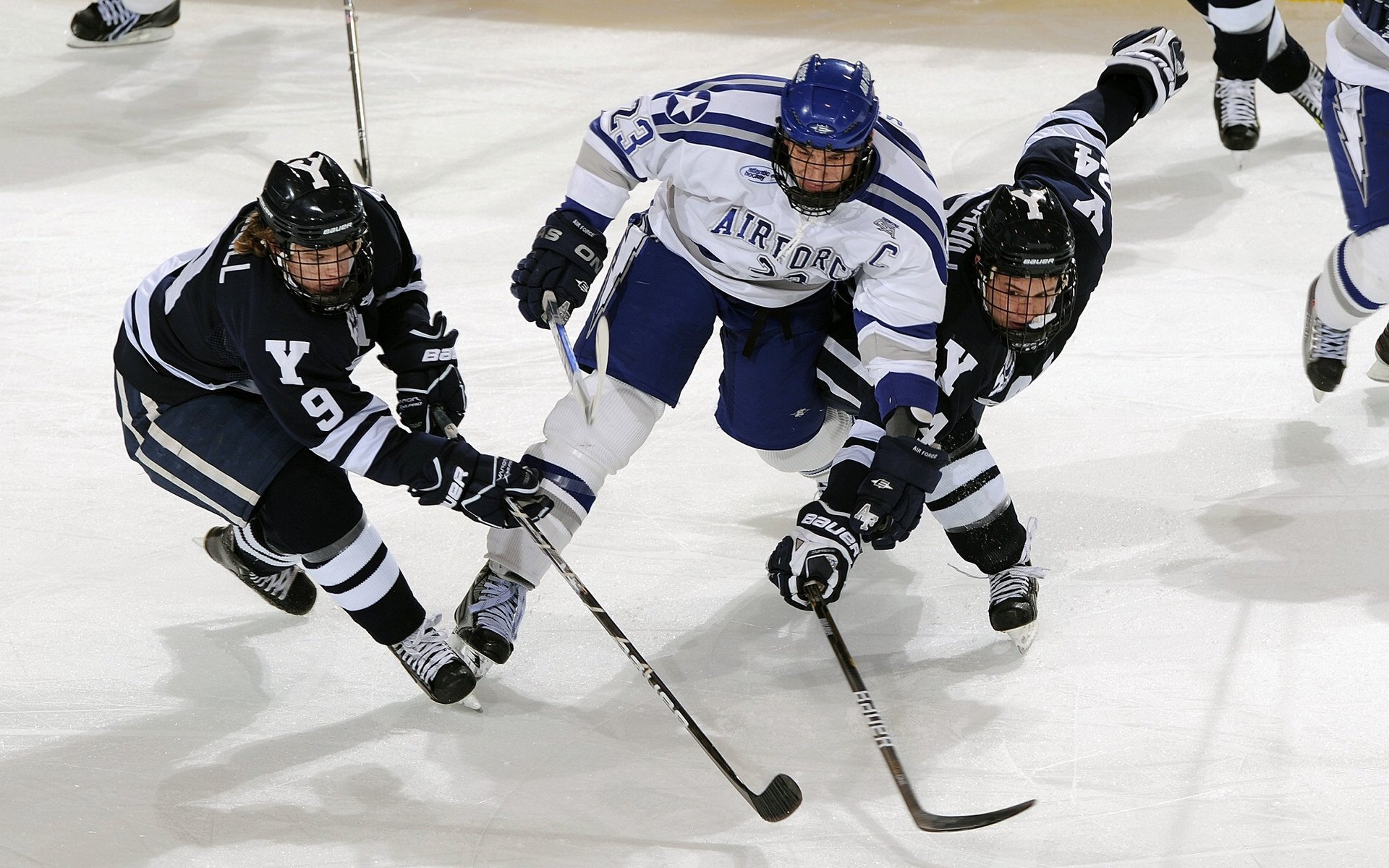 青训机构加强与体校合作打通升学路径,体育培训机构如何与教育机构合作