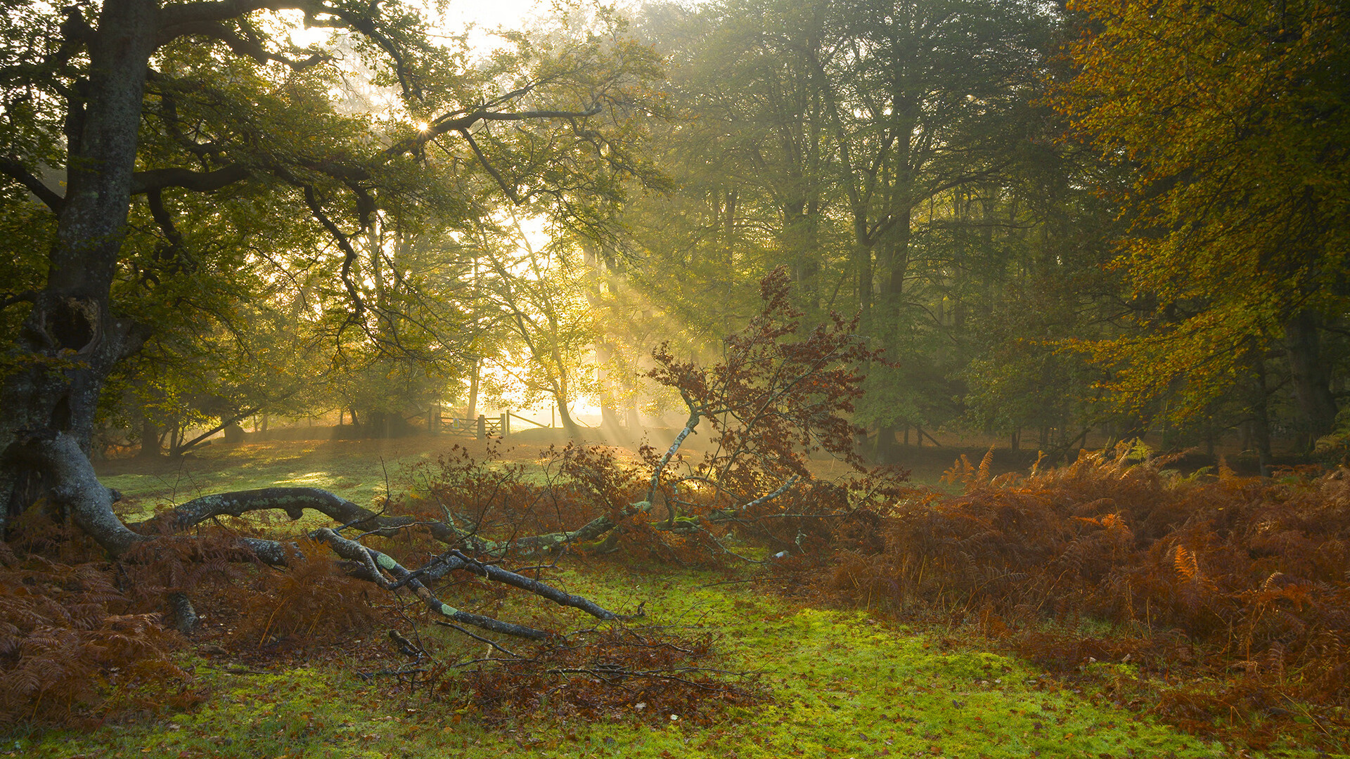 女子联赛注重节奏控制提升整体比赛流畅度,女子技巧比赛