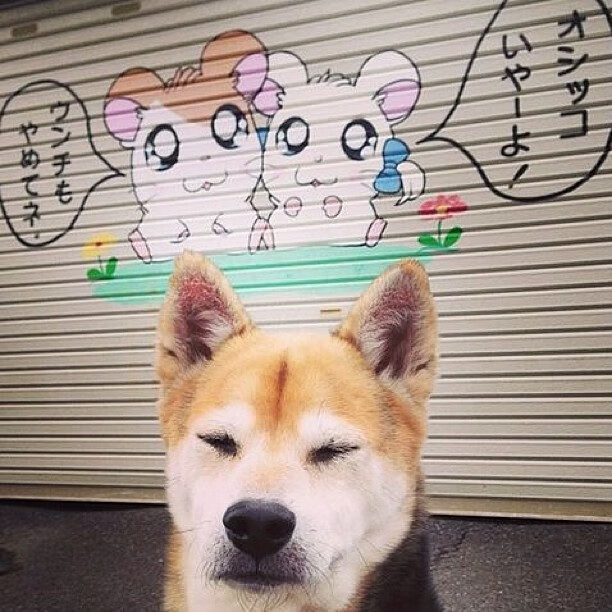 新闻中心通告体育类赛事奖项设立申请时间表,体育赛事奖励办法