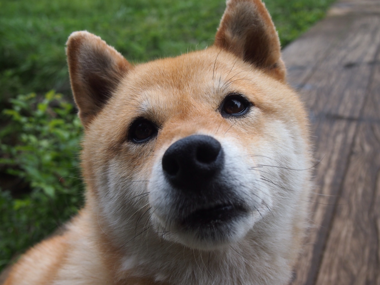 男子国家队增加专项体能训练提高耐力和爆发力，男子国家队名单