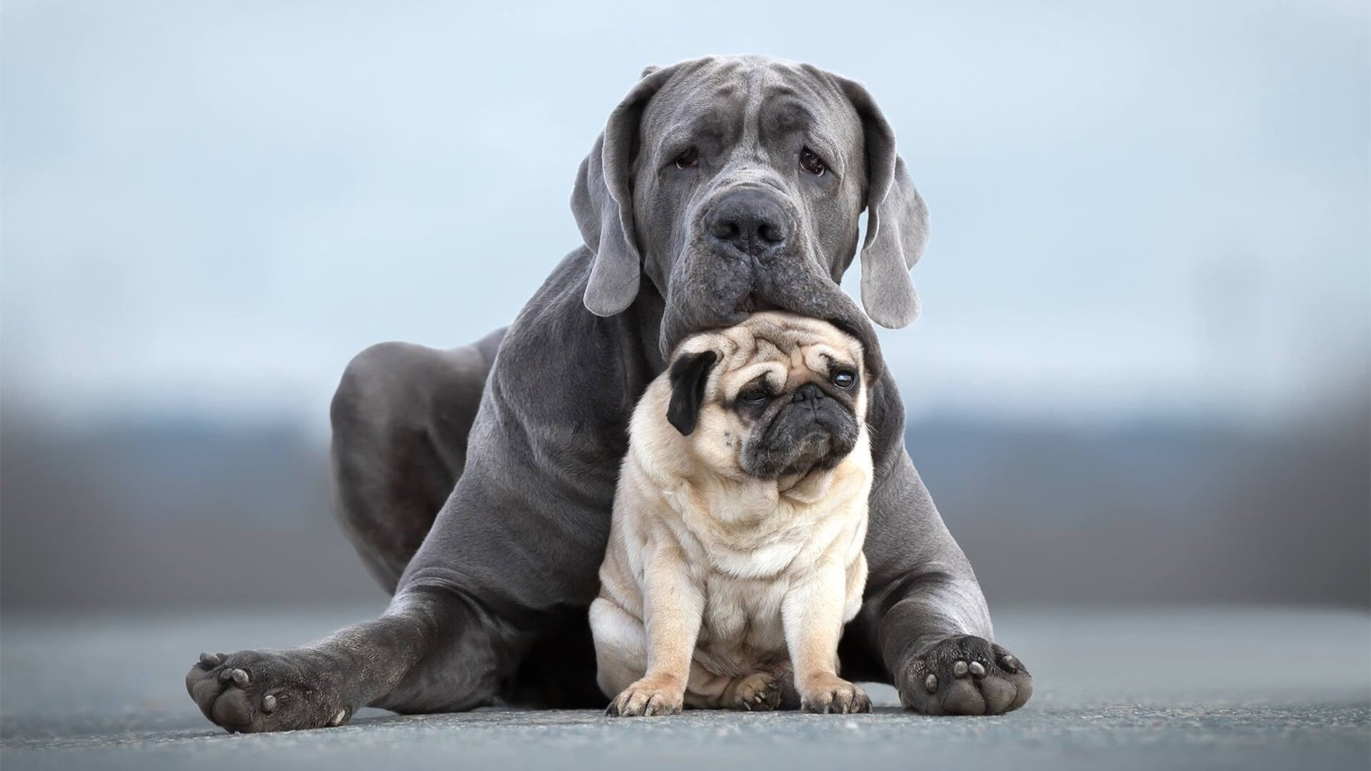 爱游戏下载-西甲最佳瞬间：超级射手的精彩进球，西甲 射手