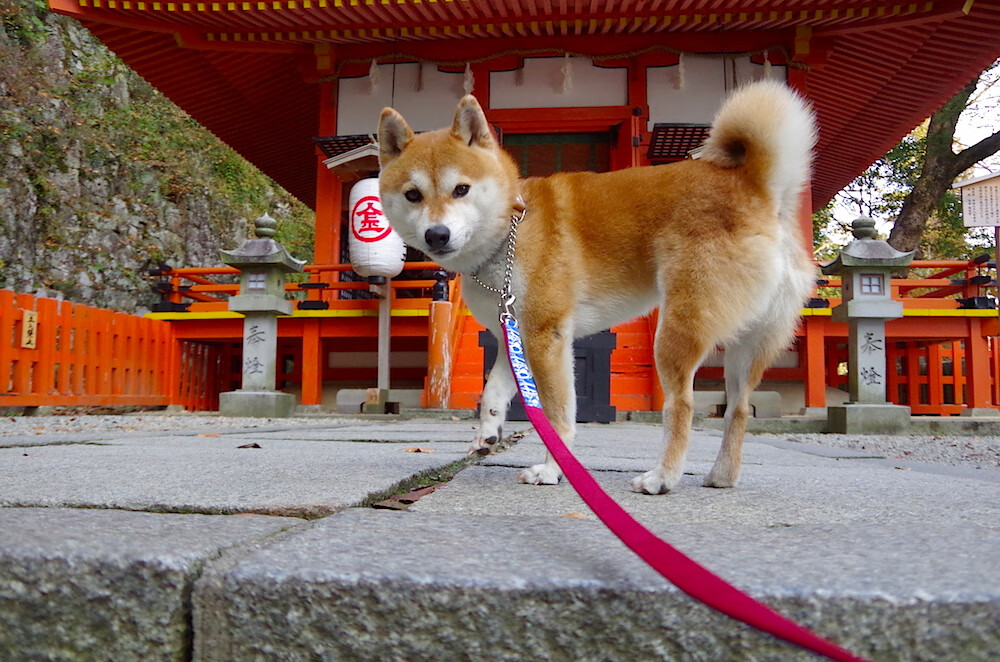 AYX SPORTS-谢佩玲决赛发挥助力队伍争光，谢佩诗个人信息