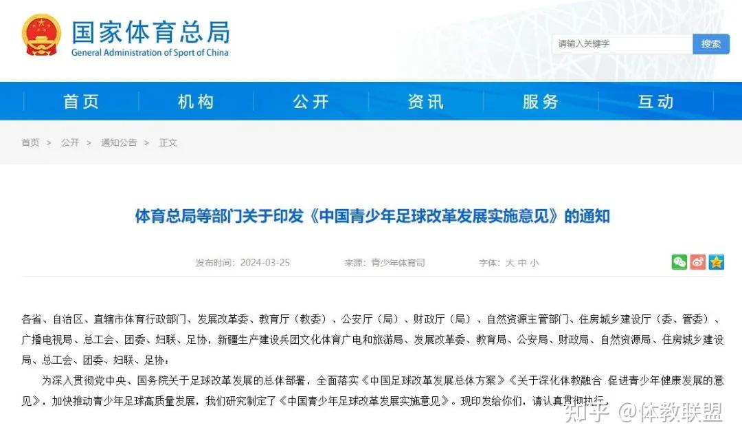 爱游戏体育:中国足球公益足球项目社会效益评估：促进青少年健康成长与社会融合的简单介绍